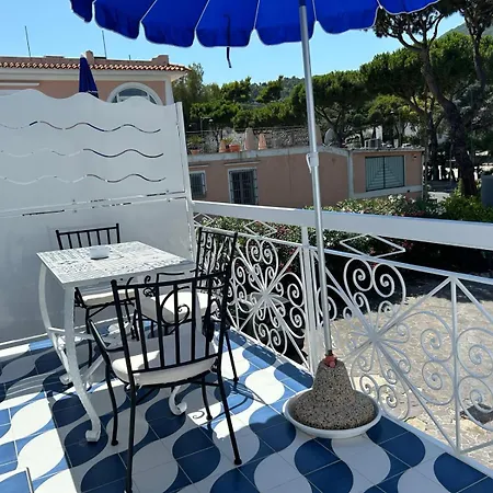 Blu D Alia Exclusive